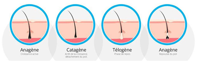 cycle pilaire